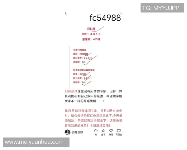 埃弗顿与热刺对决前瞻分析及比赛结果预测