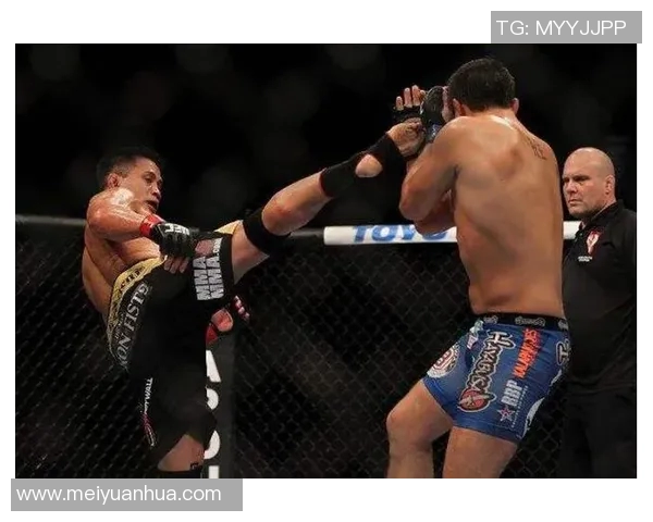 康李与比斯平的巅峰对决谁能在拳坛称王争霸赛中胜出