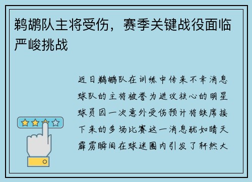 鹈鹕队主将受伤，赛季关键战役面临严峻挑战